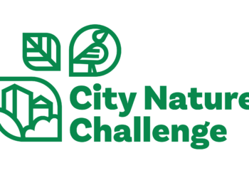 City Nature Challenge 2026 Top Trik