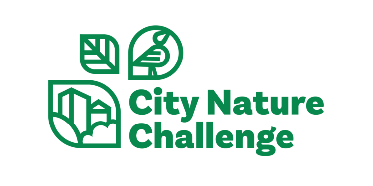 City Nature Challenge 2026 Top Trik