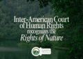 Nature Rights Battles 2026 Courts