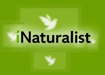 iNaturalist Trik Boosts Observations