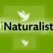 iNaturalist Trik Boosts Observations