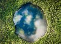 Nature Data Platform Attracts Investors