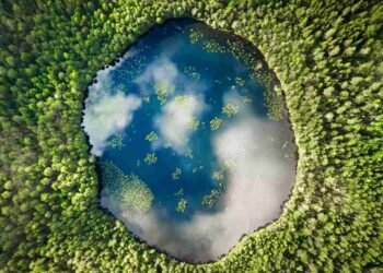 Nature Data Platform Attracts Investors