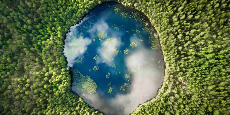 Nature Data Platform Attracts Investors