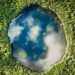 Nature Data Platform Attracts Investors