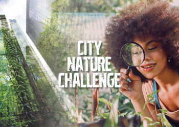 Nature City Challenge Goes Global