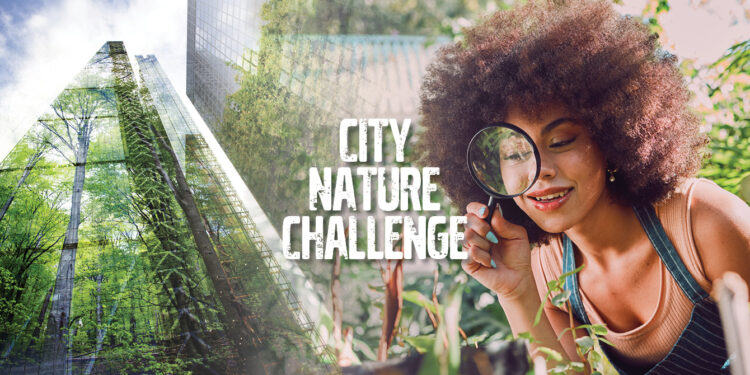 Nature City Challenge Goes Global
