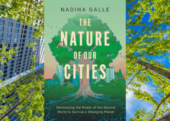 Nature Cities Focus Tech Issue