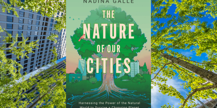 Nature Cities Focus Tech Issue